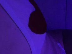 Yasminechienne Live Webcam on BongaCams