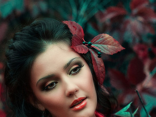 My Photos