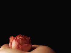 RealCats Live Webcam on BongaCams
