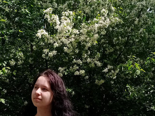 My Photos