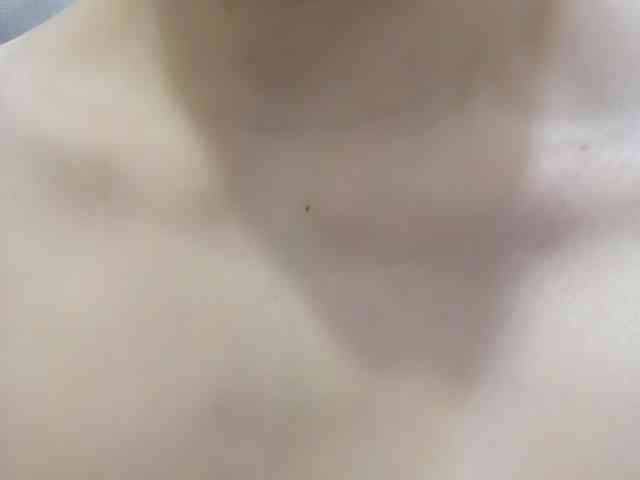Faaaany69