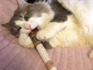 my little basket-son, Seryozhenka;3