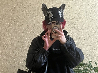 kitty
