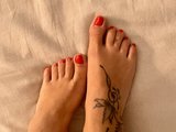 Foot-Model