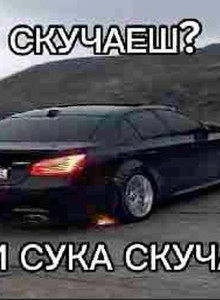 zolomax2004 My Photos photo 14741933