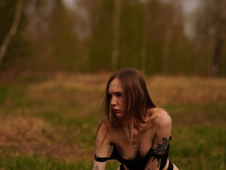 Cat in the Forest