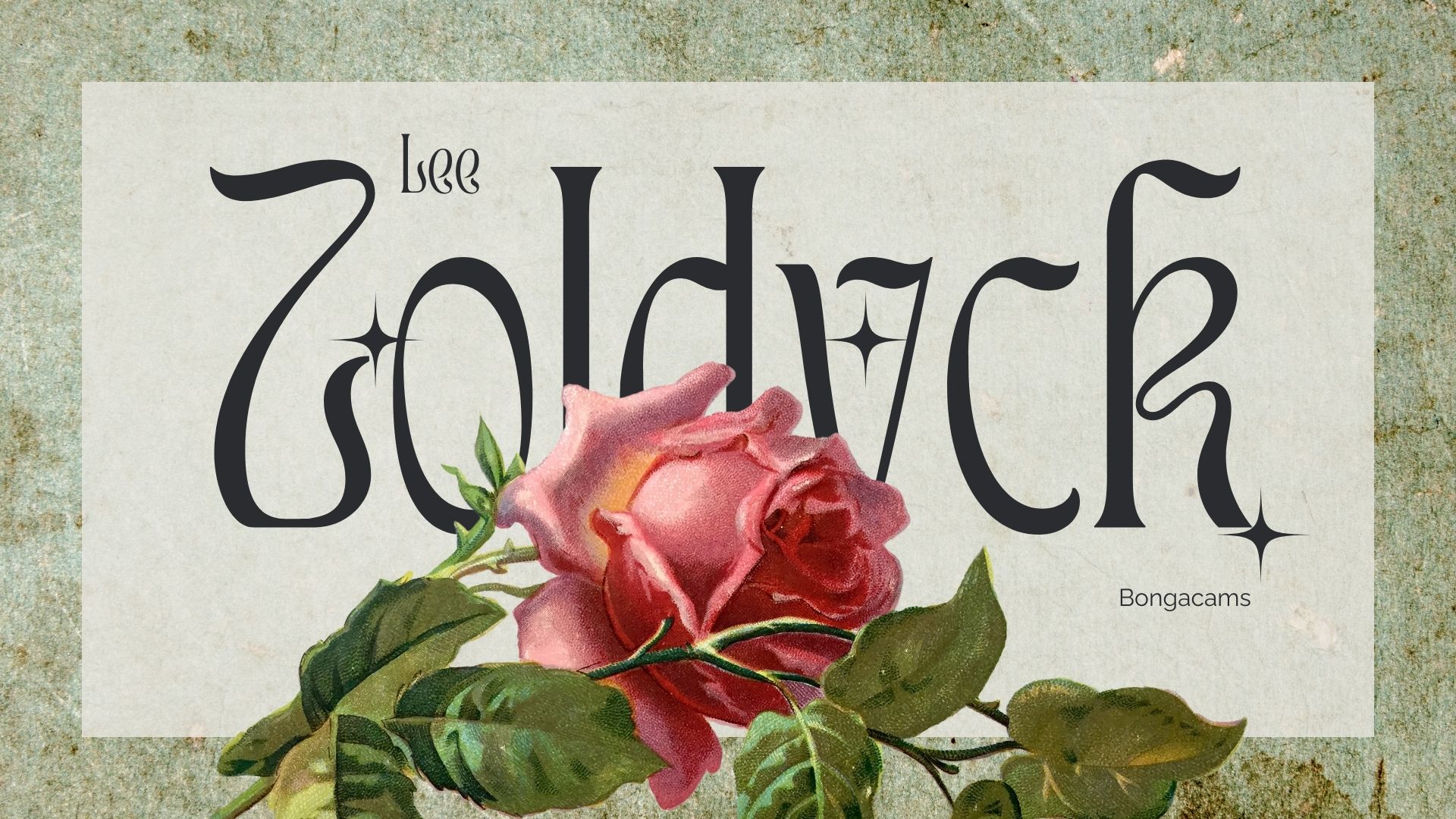 LeeZoldyck about me image: 1