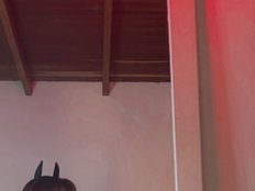 SabrinaMachado's avatar