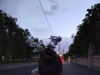 My Photos
