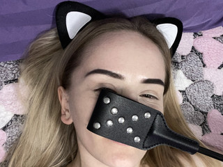 Meow😻