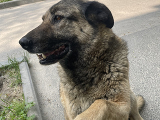 Новый альбом