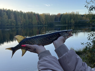 Что-то из свежего