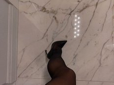 Foxxx-1