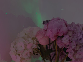 🌸Flowers🌸