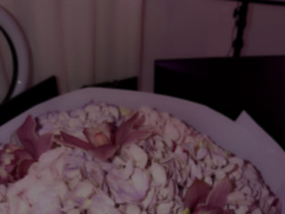 🌸Flowers🌸
