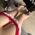 LoveCatS1