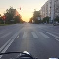 maksta