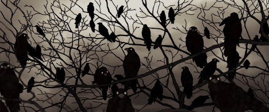 EmpressMorrigan RULES image: 2