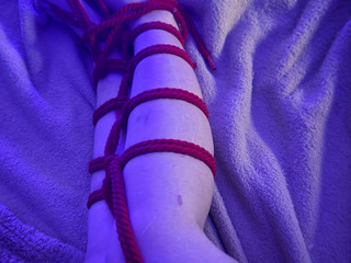 Legs lover are here?