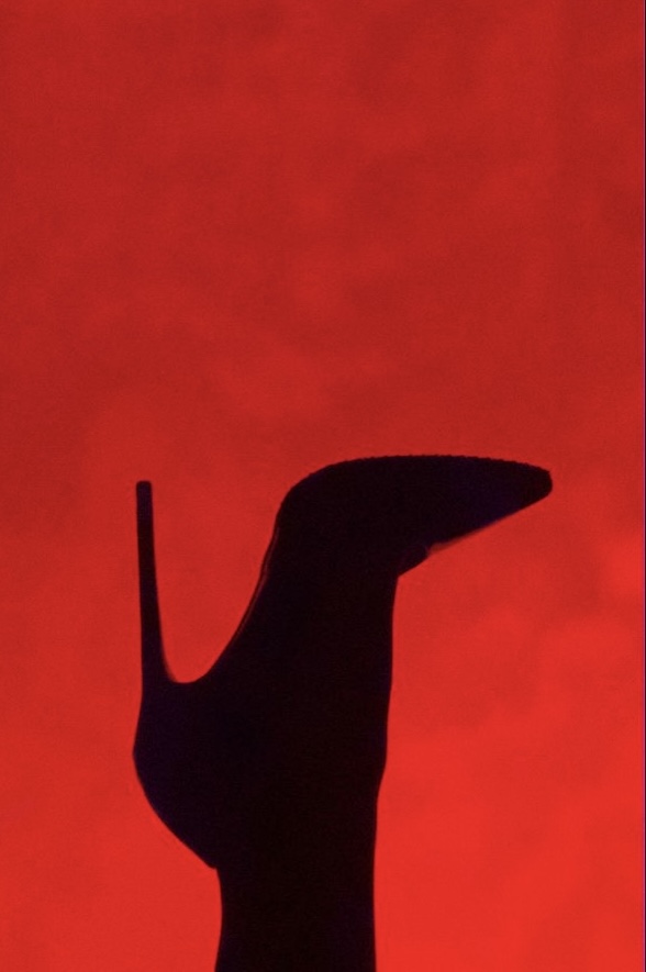 AliceShu Цитата дня! image: 1