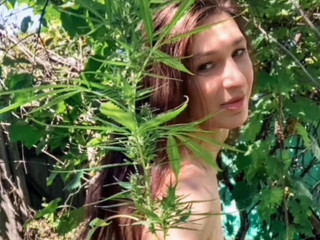 Summer Green