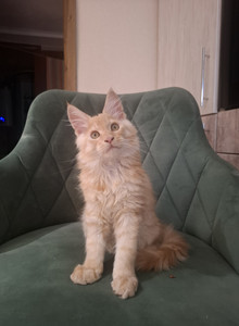 yoofy My Photos photo 14874060