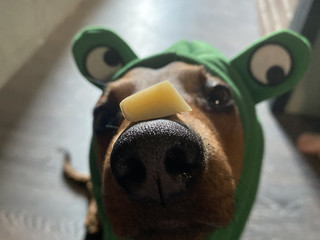 We