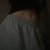 -EvaLoom-