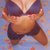 Bettyya