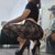 vickysquirtz