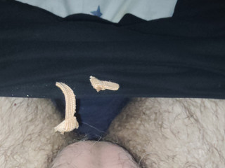 Quieres mi polla