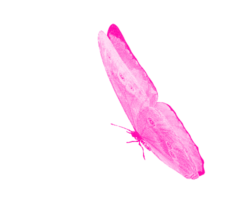 MilaRojas kiss image: 1