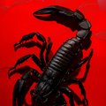 14Scorpion88