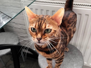 a little bit of yourself