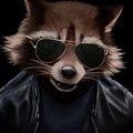 16bitowl