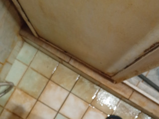 My Photos