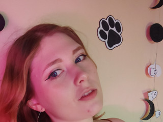 Photos