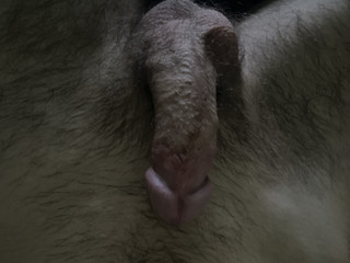 My Photos