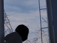 Pulsareds Live Webcam on BongaCams