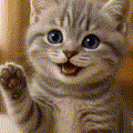 lucifer666rrr-cat