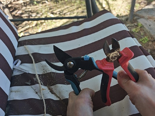 Gardening