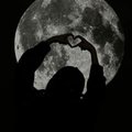 -Moonlyss-