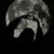 -Moonlyss-