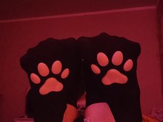 -LittleDog- Live Webcam on BongaCams