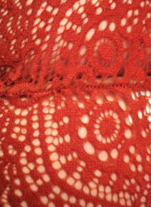 Fukudaa 2 photo 14706506