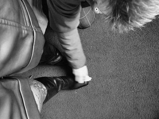 Live трансляция DimwLika - hotxchat.com