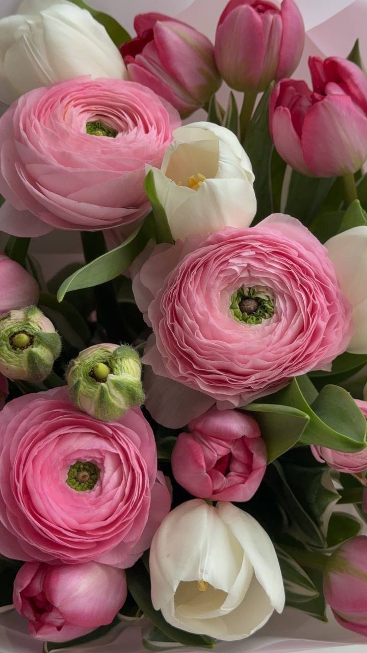 Nikssss888's favorite flowers are ranunculus. Image: 1