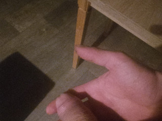 Penis