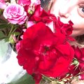 Olga-39