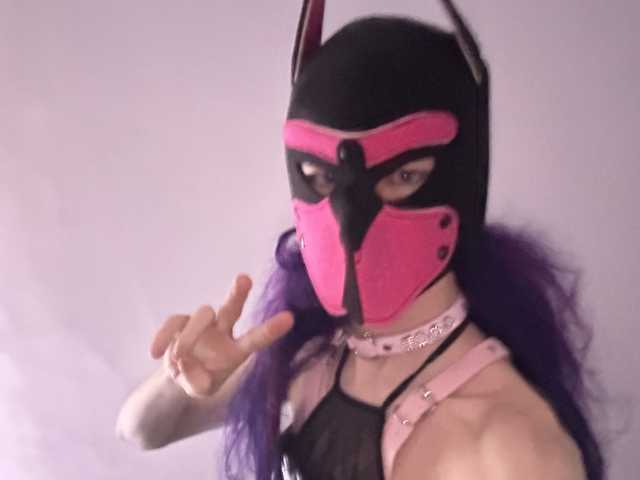 FoxyPuppy